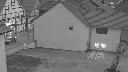 cam1_2022-09-24_06-50.jpg