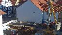 cam1_2022-11-13_11-02.jpg