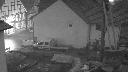 cam1_2022-11-29_07-31.jpg
