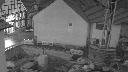 cam1_2023-02-01_07-36.jpg