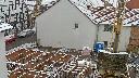 cam1_2023-03-08_08-21.jpg