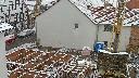 cam1_2023-03-08_08-46.jpg