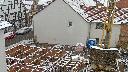 cam1_2023-03-08_09-46.jpg