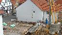 cam1_2023-03-22_12-08.jpg