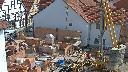 cam1_2023-04-17_11-00.jpg