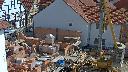 cam1_2023-04-17_11-20.jpg
