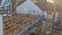 cam1_2023-04-26_07-08.jpg