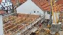 cam1_2023-04-26_15-33.jpg