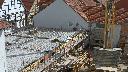 cam1_2023-05-03_10-33.jpg