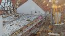 cam1_2023-05-04_06-40.jpg