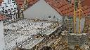 cam1_2023-05-05_09-56.jpg
