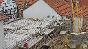 cam1_2023-05-05_11-06.jpg