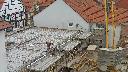 cam1_2023-05-05_13-06.jpg