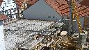 cam1_2023-05-06_12-01.jpg