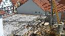 cam1_2023-05-06_12-16.jpg
