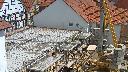 cam1_2023-05-06_12-31.jpg