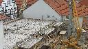 cam1_2023-05-07_10-23.jpg