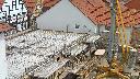 cam1_2023-05-07_12-22.jpg