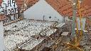 cam1_2023-05-08_06-07.jpg