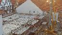 cam1_2023-05-08_06-17.jpg