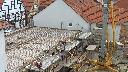 cam1_2023-05-08_08-12.jpg