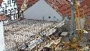 cam1_2023-05-08_09-37.jpg