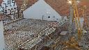cam1_2023-05-09_06-32.jpg