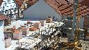 cam1_2023-05-13_11-16.jpg