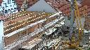 cam1_2023-05-30_09-46.jpg