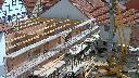 cam1_2023-05-30_10-41.jpg