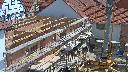 cam1_2023-05-30_11-46.jpg