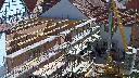 cam1_2023-05-31_10-15.jpg