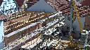 cam1_2023-05-31_10-25.jpg