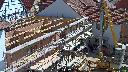 cam1_2023-05-31_10-30.jpg