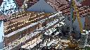 cam1_2023-05-31_10-35.jpg
