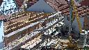 cam1_2023-05-31_10-40.jpg