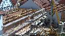 cam1_2023-05-31_10-45.jpg