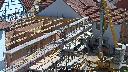 cam1_2023-05-31_10-50.jpg