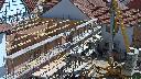 cam1_2023-05-31_10-55.jpg