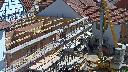 cam1_2023-05-31_11-00.jpg