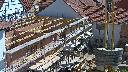 cam1_2023-05-31_11-05.jpg