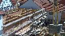 cam1_2023-05-31_11-10.jpg