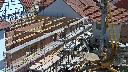 cam1_2023-05-31_11-40.jpg