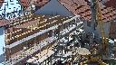 cam1_2023-05-31_11-45.jpg