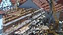 cam1_2023-05-31_11-50.jpg