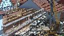 cam1_2023-05-31_12-10.jpg
