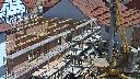 cam1_2023-05-31_12-25.jpg
