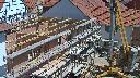 cam1_2023-05-31_13-05.jpg