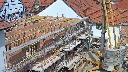 cam1_2023-05-31_15-35.jpg