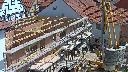 cam1_2023-06-01_12-00.jpg
